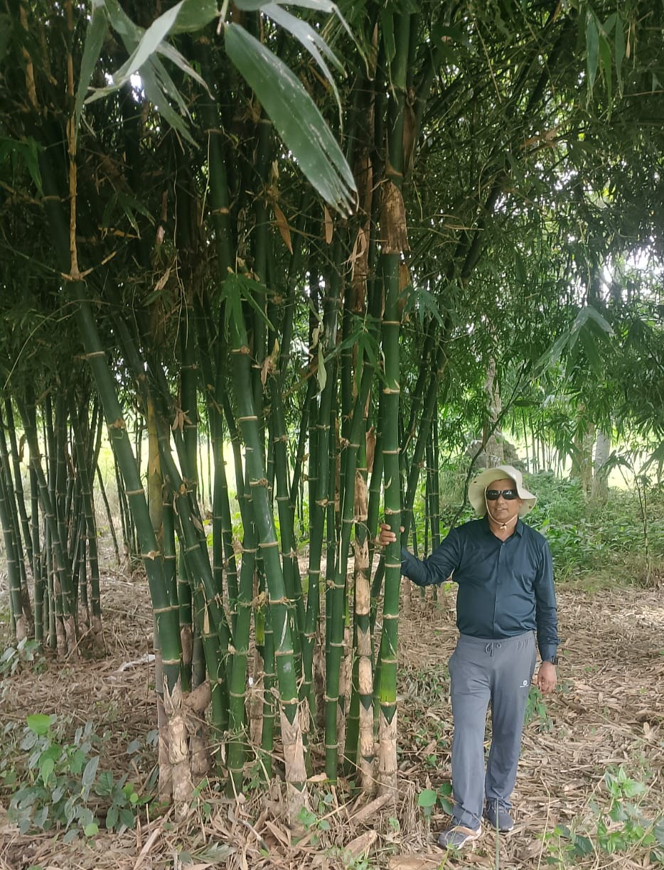 समुदायिक कार्यक्रम